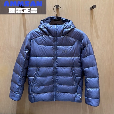 Arcteryx始祖鸟CERIUM SV男款防水防风灰鹅绒连帽排骨羽绒服X8429