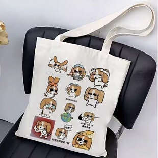 比格多栋暹罗厘普学生帆布包抽象装书单肩手提袋带拉链百搭高颜值