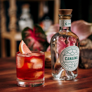 委内瑞拉卡奈玛金酒CANAIMA GIN手工采摘植物原料小众杜松子酒