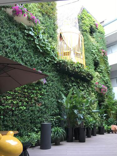 上海户外植物墙绿墙立体