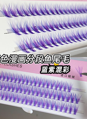 混彩分段朵毛鱼尾单簇假睫毛