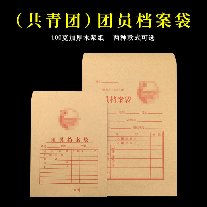 盛泰100个纸质团员档案袋牛皮纸大号团籍订制a4文件袋无酸纸加厚