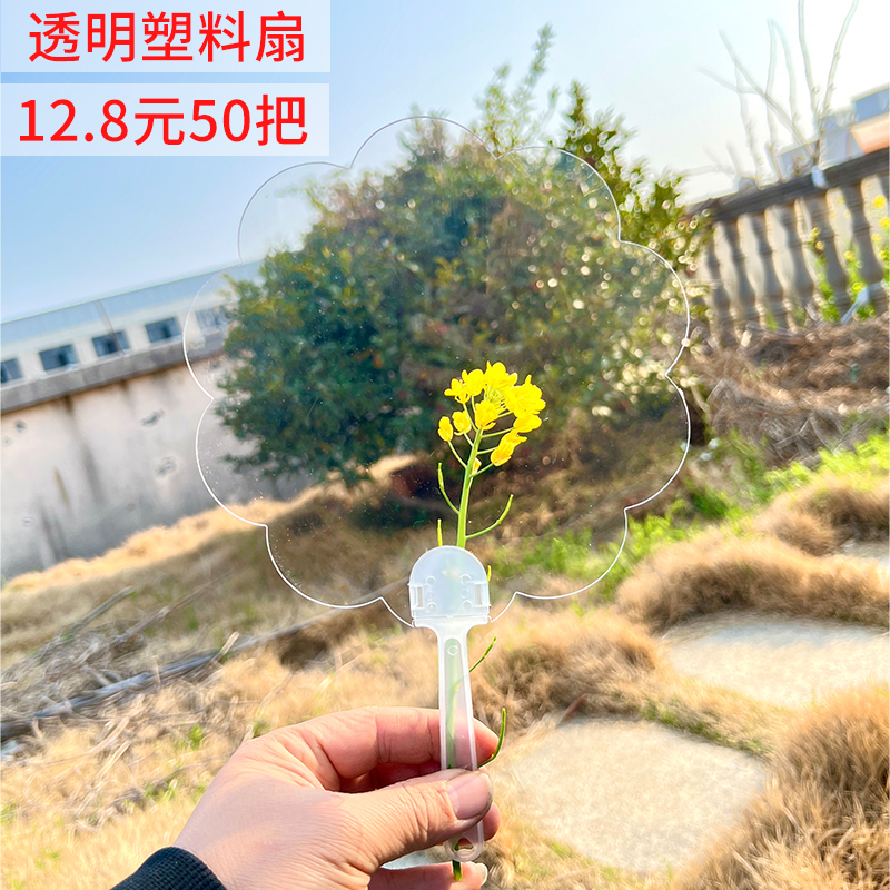 透明空白扇子幼儿园教师节diy手工创意绘画塑料礼品画扇开学礼品 居家日用 扇子 原图主图