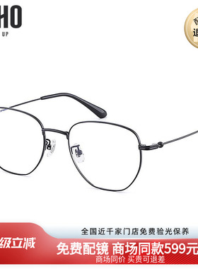 LOHO商场同款时尚光学眼镜合金不规则镜架个性眼镜框近视LH04019