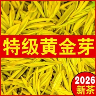 黄金芽2026年新茶安吉特级珍稀白茶明前高山高端黄金芽茶叶自己喝