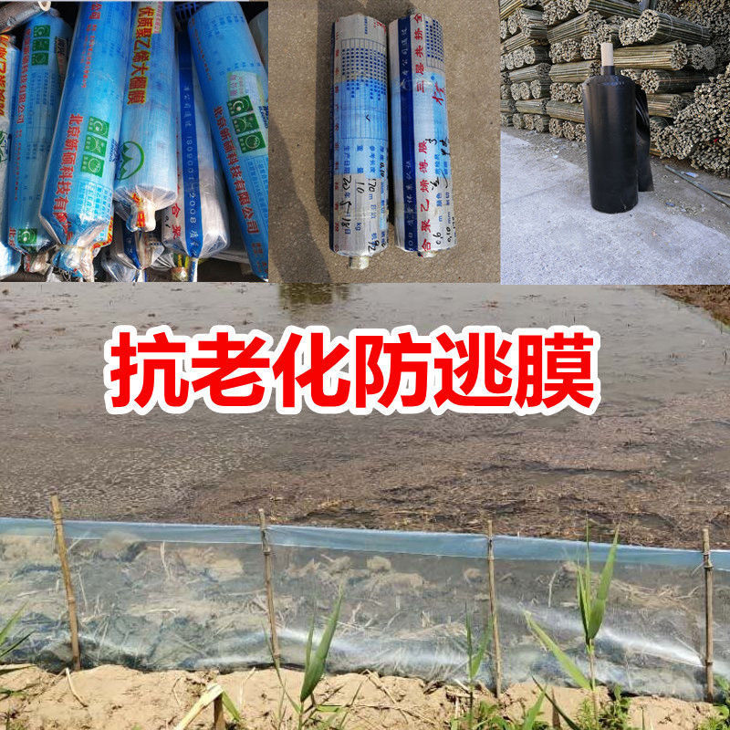 蟹苗防逃膜塑料薄膜河蟹龙虾甲鱼螃蟹大闸蟹水产养殖防逃膜围栏板