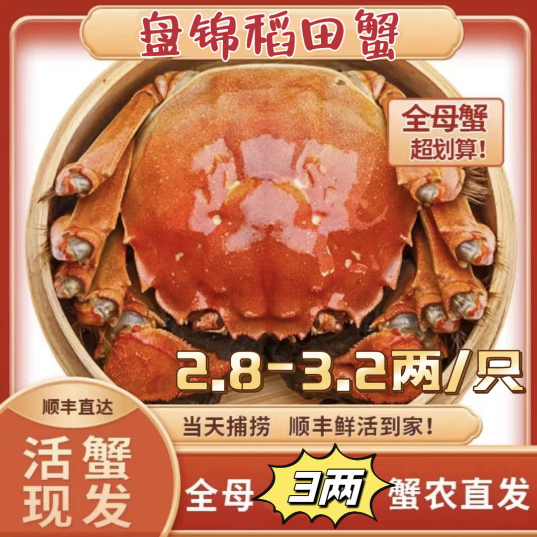 全母盘锦河蟹太平河保肥保活现抓