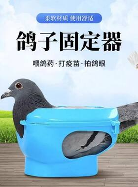 鸽子固定器打疫苗针喂药看眼睛输液套环束鸽辅助支架赛信用品用具