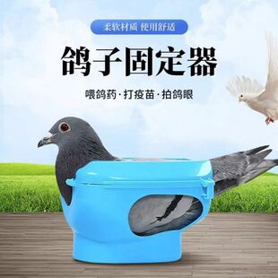 鸽子固定器打疫苗针喂药看眼睛输液套环束鸽辅助支架赛信用品用具