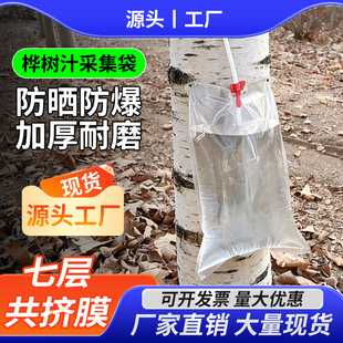 加厚密封桦树汁采集袋树汁采集袋免封口订挂式采集袋液体包装袋子