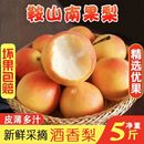 软糯香甜薄皮细肉 包邮 正宗南果梨香爆东北鞍山红皮当季 特产整箱