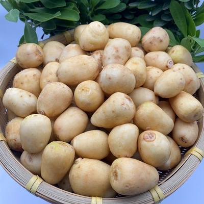 早熟去皮小芋头软糯香甜旱地芋头香芋早餐芋产地直销非荔浦芋头