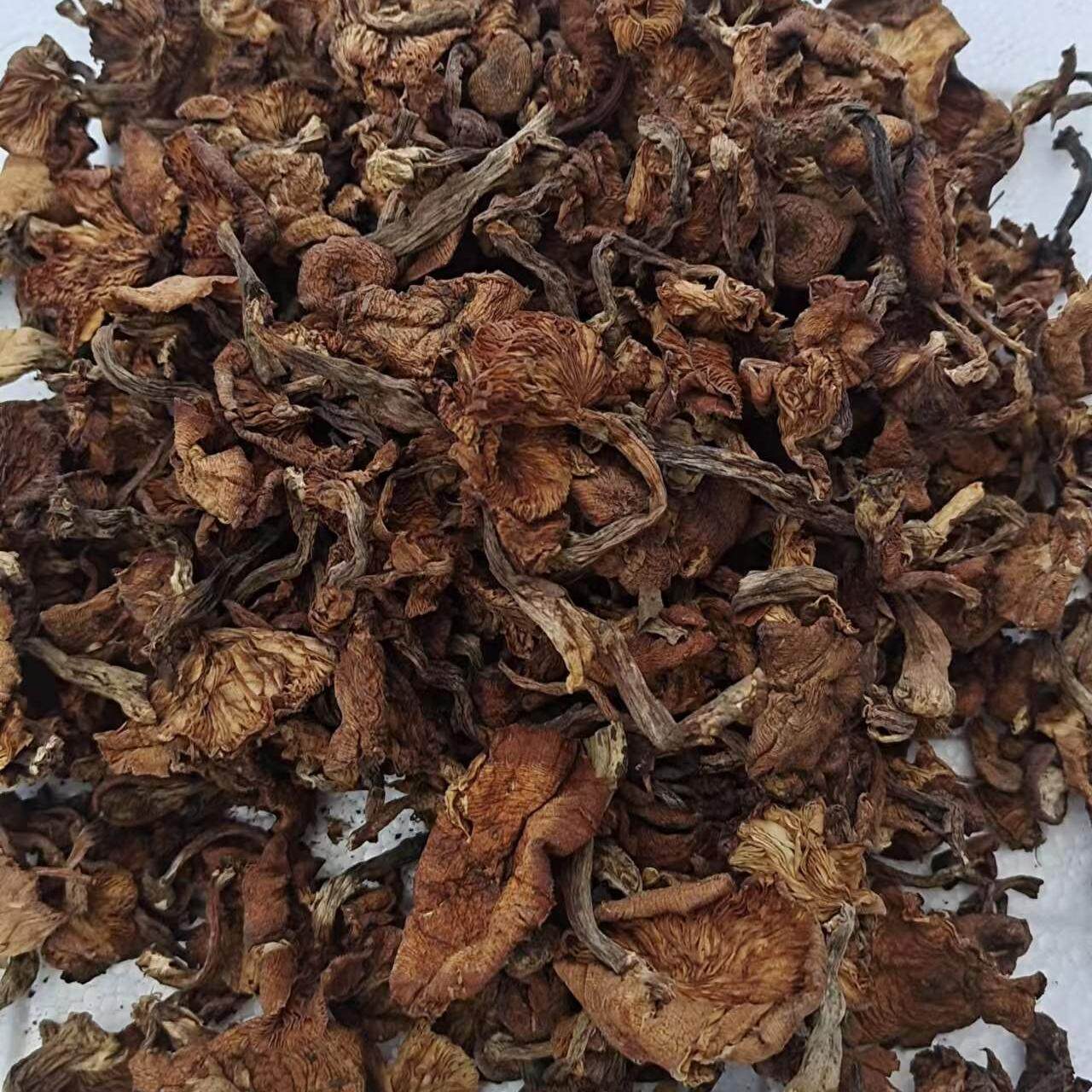榛蘑菇 东北特产榛蘑菇干货 食用榛菇半斤