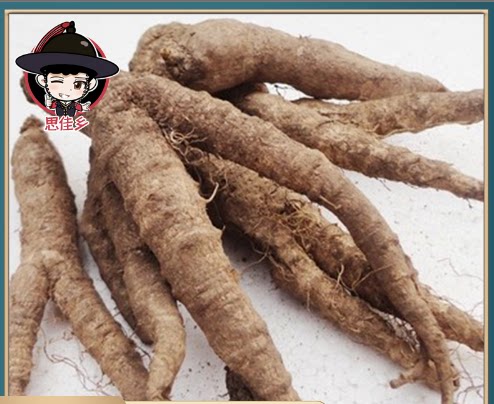 新鲜北沙参延边朝鲜族东北特产轮山胡萝卜山地瓜韩式泡菜煎沙参