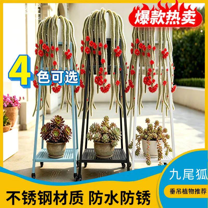 九尾狐花架垂吊高筒玉坠垫高增高植物长毛精品白狐不锈钢多层置物
