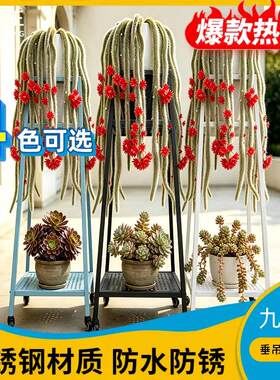 九尾狐垂吊植物垫高不锈钢花架