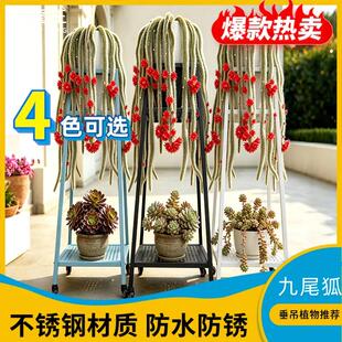 九尾狐花架垂吊高筒玉坠垫高增高植物长毛精品白狐不锈钢多层置物