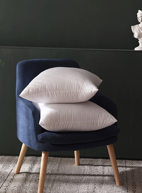 抱枕芯沙发靠枕靠垫芯40/45/50/55/60/65/70方枕芯正方形靠背枕芯