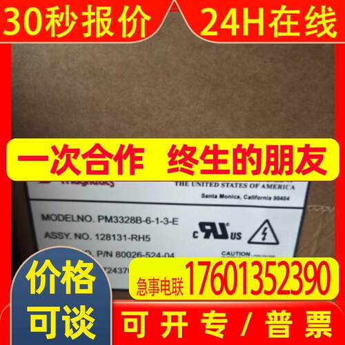 Pioneer Magnetics PM3328B-6-1-3-E电源模块