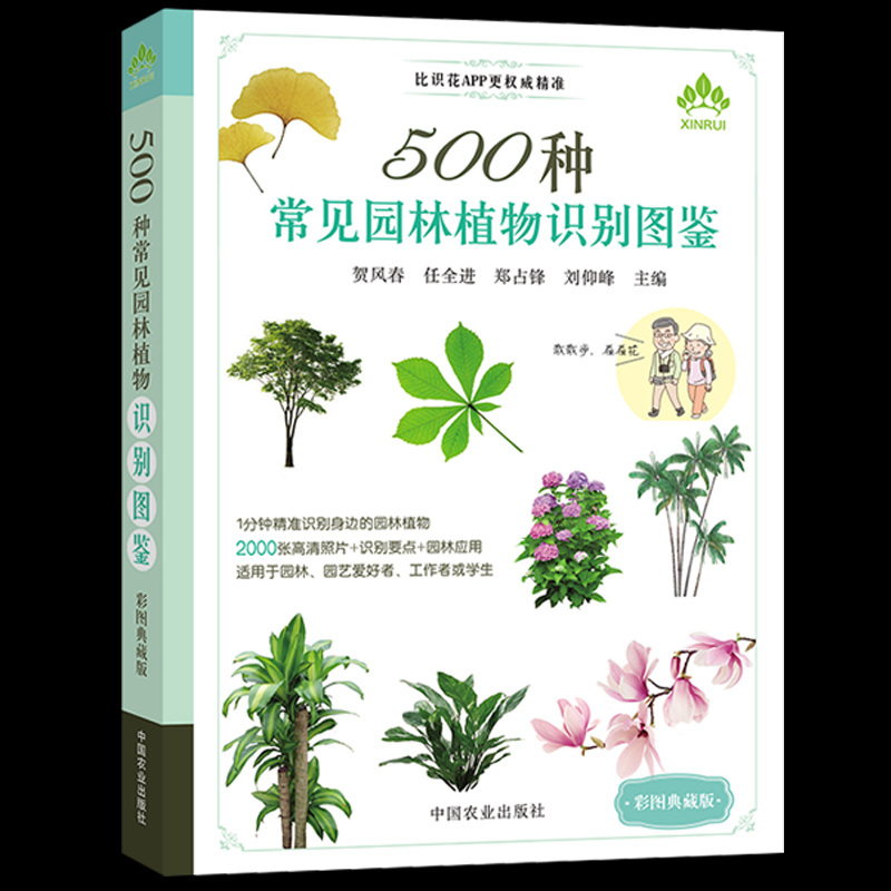 正版500种常见园林植物识别图鉴彩图典藏版贺风春常见园林花草树木植物野花野外识别与鉴赏手册速查图谱图鉴通俗易懂的百科全书