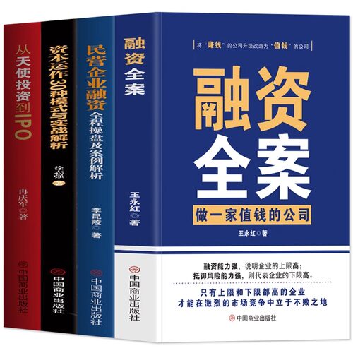 正版全4册 融资全案+民营企业融资全程操盘及案例解析+资本运作30种模式与实战解析+从天使投资到IPO 民营经济学商业模式新生代书