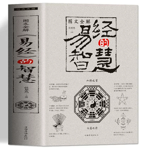 大开厚本】易经的智慧正版全集译文注释 中国哲学易经真的很容易零基础入门易经的奥秘周易全书中国风水传统文化古典文学名著书籍