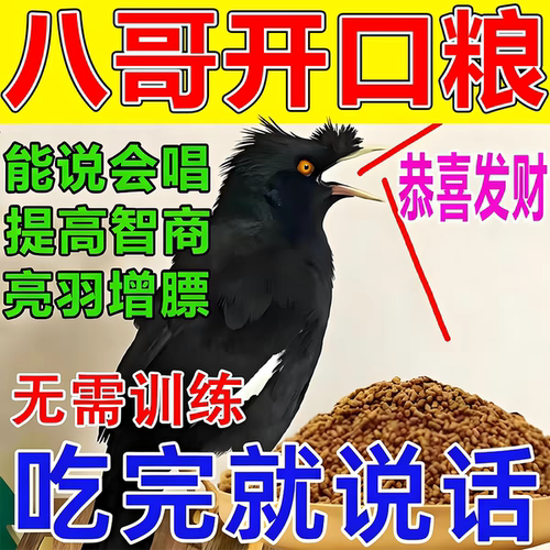 宠瑞哆八哥营养全价粮