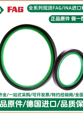 德国INA原件 SD45X52X4  密封圈油封SD45*52*4密封件SD45524