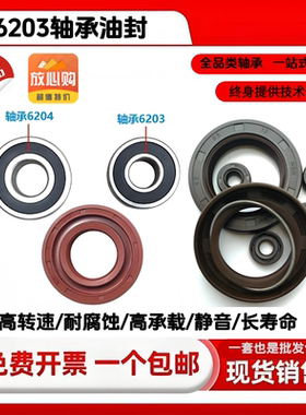 6203轴承油封 17x40x10 TC密封圈 轴承油封6203 NBR材质高温
