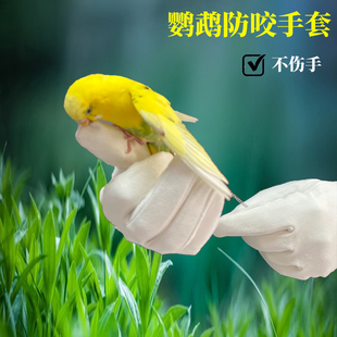 鹦鹉防咬手套灵活专业户外宠物店宠物防抓咬喂食天然麂皮防滑透气