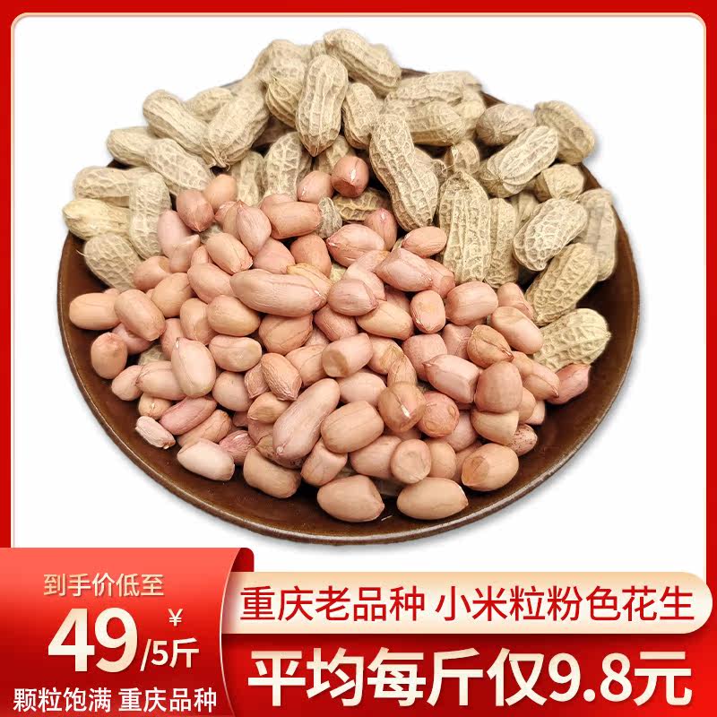 重庆石柱特产农家自产小粒老品种花生颗粒饱满新货带壳干花生5斤