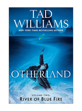 英文原版 Otherland 2 River of Blue Fire 异域系列2 蓝火之河 回忆 悲伤与荆棘作者Tad Williams泰德·威廉姆斯 英文版
