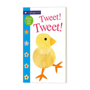英文版 书籍 Feel Book and Tweet Touch 进口英语原版 英文原版 手指印触摸超大本纸板书 Alphaprints