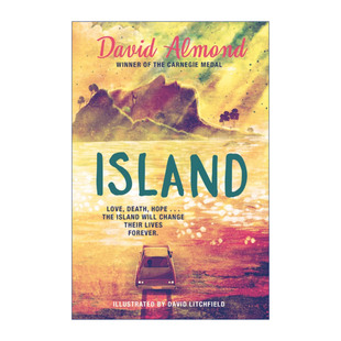 英文原版 岛屿 Island Skellig作者大卫阿尔蒙德 David Almond Litchfield绘制插画版 英文版 书籍 进口英语原版 精装