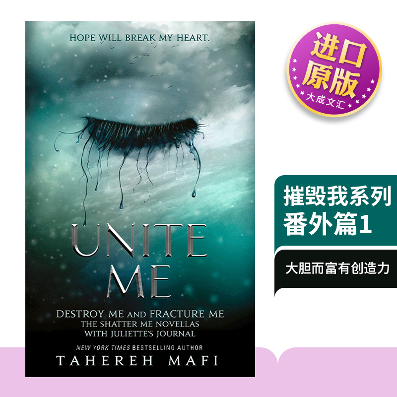 摧毁我系列番外篇1英文原版