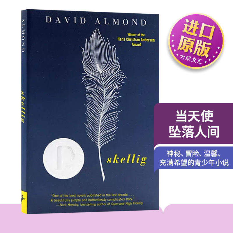 英文原版当天使坠落人间