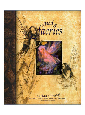 英文原版 Good Faeries Bad Faeries 好仙女坏仙女 精灵魔法世界 精装 英文版 进口英语原版书籍