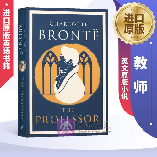 The Professor 英文原版小说 教师 英文版书 进口原版英语书籍 Bloomsbury