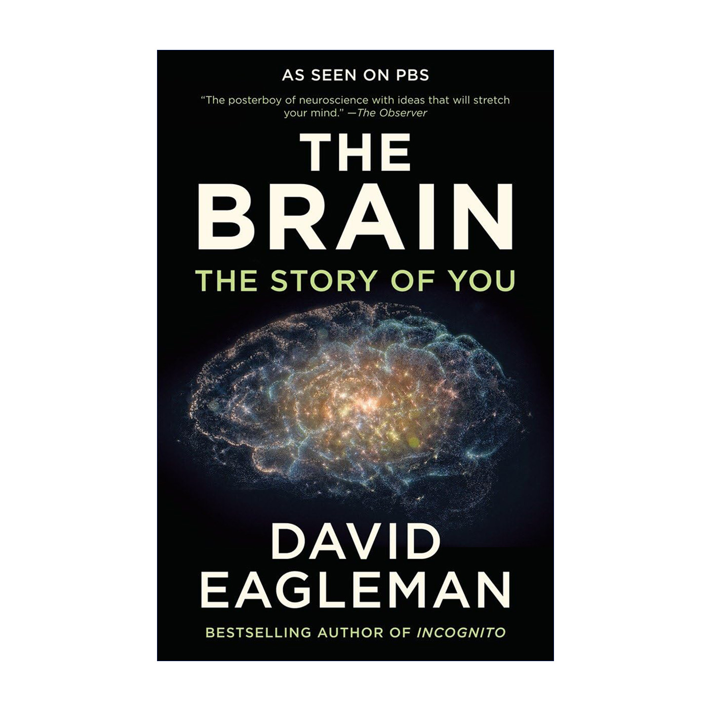 英文原版 The Brain 大脑解密手册 神经医学大脑科学自然科普书 英文版 进口英语原版书籍