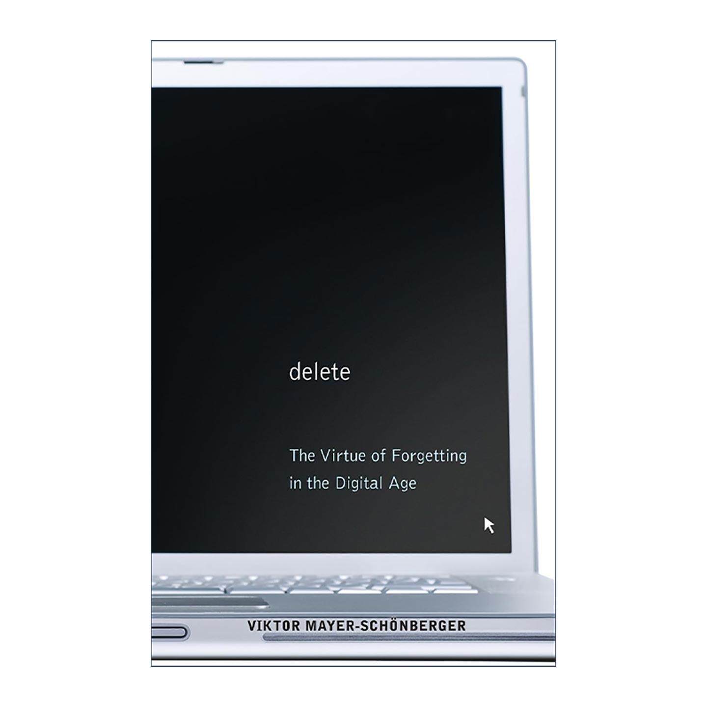 英文原版 Delete 删除 大数据取舍之道 牛津大学教授维克托?迈尔-舍恩伯格 英文版 进口英语原版书籍