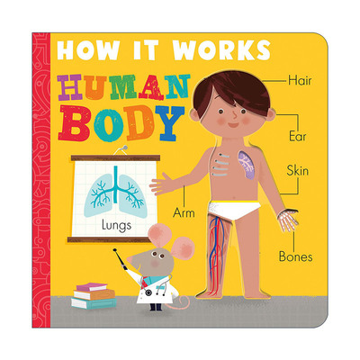 英文原版 How it Works Human Body 人体工作原理 儿童科普百科绘本 纸板书 Amelia Hepworth 英文版 进口英语原版书籍