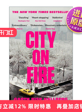 英文原版 City on Fire 燃烧之城 Garth Risk Hallberg小说 美国纽约文化生活话题之作 英文版 进口英语原版书籍