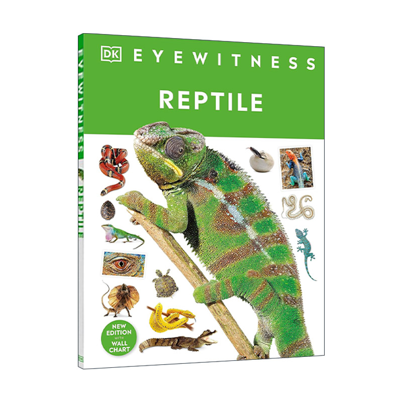 英文原版 DK Eyewitness Reptile 目击者系列 爬行动物 儿童科普百科精装 英文版 进口英语原版书籍