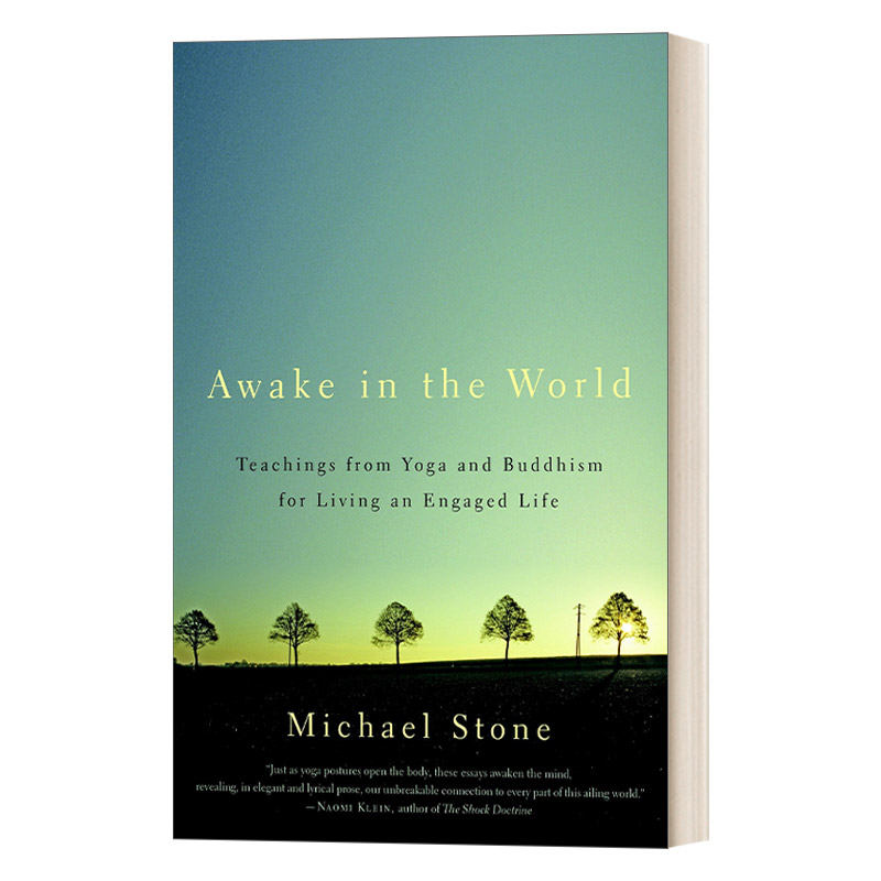 英文原版 Awake in the World 世界的清醒 通过瑜伽与冥想获得生活的平衡 Michael Stone 英文版 进口英语原版书籍