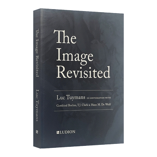 英文原版 Luc Tuymans The Image Revisited 图像再现 吕克·图伊曼斯 艺术史 英文版 进口英语原版书籍