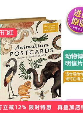 Animalium Postcards 英文原版 动物博物馆明信片50张 艺术明信片卡片 英文版 进口原版英语书籍