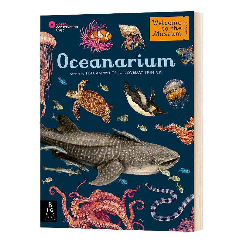 英文原版 Oceanarium 欢迎来到博物馆系列之海洋博物馆 Loveday Trinick 英文版 进口英语原版书籍儿童图书