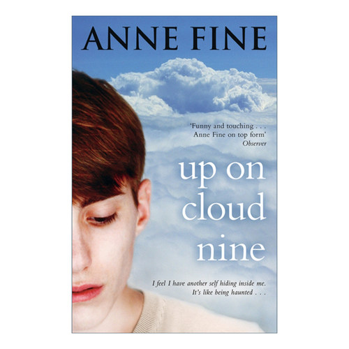 英文原版 Up On Cloud Nine 斯托的秘密 安妮·范恩经典儿童小说 英文版 进口英语原版书籍