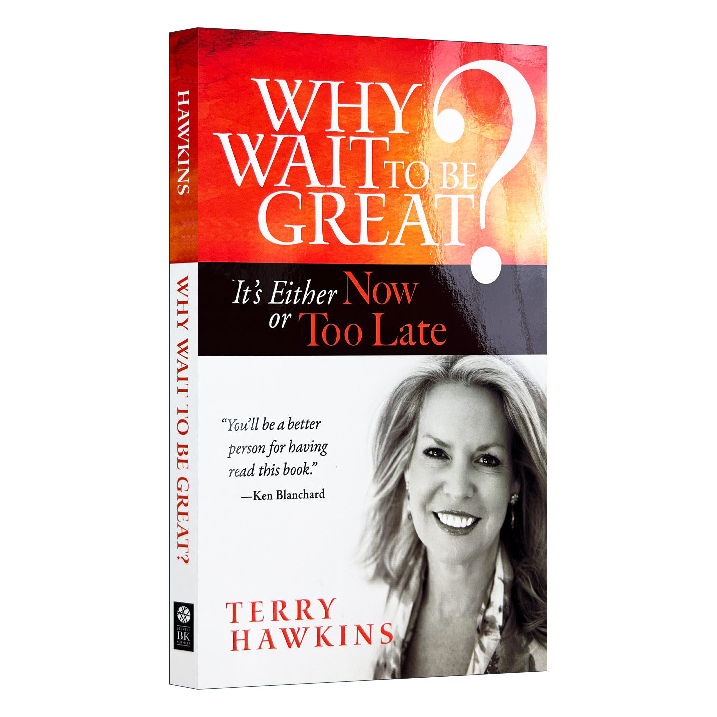 英文原版 Why Wait to Be Great? 优秀无需等待 自我提升 Terry Hawkins 英文版 进口英语原版书籍