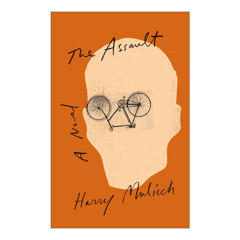 英文原版 the assault 攻击 惊悚历史小说 harry mulisch 英文版 进口